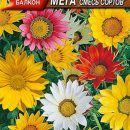 АЭЛИТА ГАЦАНИЯ БАЛКОННАЯ МЕГА, СМЕСЬ СОРТОВ Ц/П 4 шт
