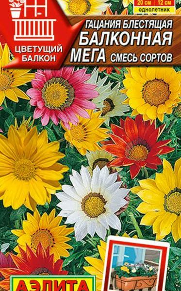 АЭЛИТА ГАЦАНИЯ БАЛКОННАЯ МЕГА, СМЕСЬ СОРТОВ Ц/П 4 шт