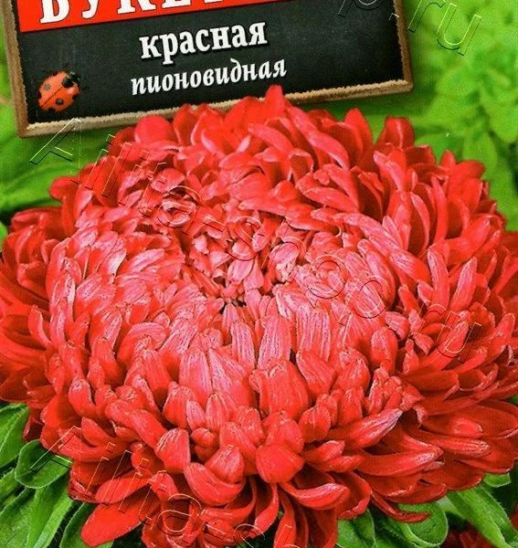 АЭЛИТА АСТРА БУКЕТНАЯ КРАСНАЯ Ц/П 0,2 г