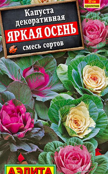 АЭЛИТА КАПУСТА ДЕКОРАТИВНАЯ ЯРКАЯ ОСЕНЬ, СМЕСЬ СОРТОВ Ц/П 0,1 г