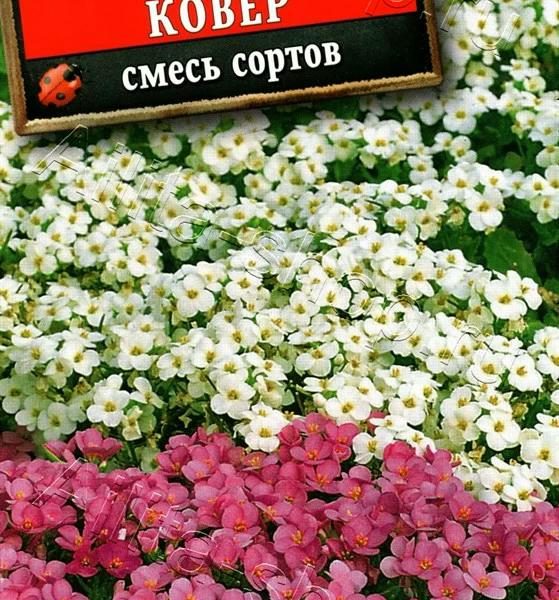 АЭЛИТА АРАБИС ВОЛШЕБНЫЙ КОВЕР, СМЕСЬ СОРТОВ Ц/П 0,1 г