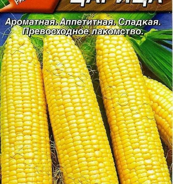 АЭЛИТА КУКУРУЗА САХАРНАЯ ЦАРИЦА Ц/П 7 г