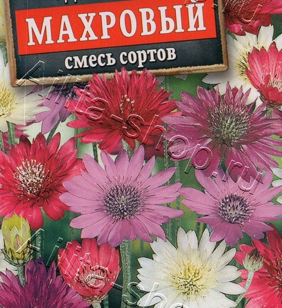 АЭЛИТА КСЕРАНТЕМУМ МАХРОВЫЙ, СМЕСЬ СОРТОВ Ц/П 0,1 г