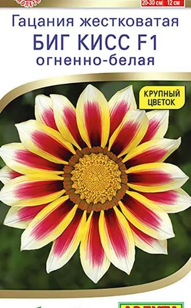АЭЛИТА ГАЦАНИЯ БИГ КИСС F1 ОГНЕННО-БЕЛАЯ Ц/П 3 шт