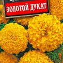 АЭЛИТА БАРХАТЦЫ ЗОЛОТОЙ ДУКАТ ПРЯМОСТОЯЧИЕ Ц/П 7 шт
