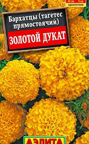 АЭЛИТА БАРХАТЦЫ ЗОЛОТОЙ ДУКАТ ПРЯМОСТОЯЧИЕ Ц/П 7 шт