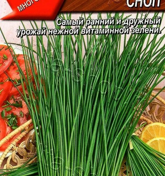 АЭЛИТА ЛУК ШНИТТ ВИТАМИННЫЙ СНОП Ц/П 0,5 г