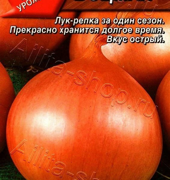 АЭЛИТА ЛУК РЕПЧАТЫЙ БОЦМАН Ц/П 0,5 г