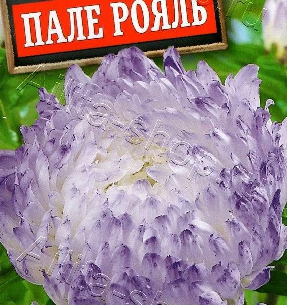 АЭЛИТА АСТРА ПАЛЕ-РОЯЛЬ ПИОНОВИДНАЯ Ц/П 0,2 г