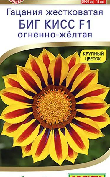 АЭЛИТА ГАЦАНИЯ БИГ КИСС F1 ОГНЕННО-ЖЕЛТАЯ Ц/П 3 шт