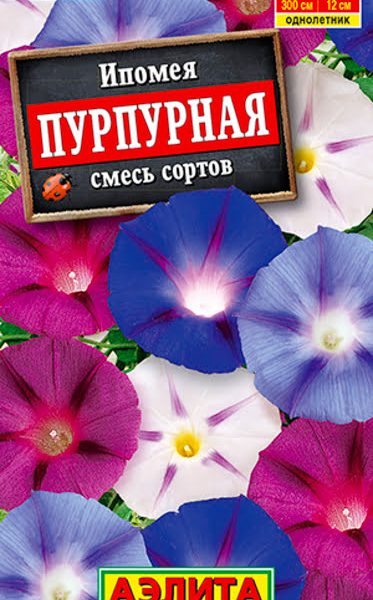 АЭЛИТА ИПОМЕЯ ПУРПУРНАЯ, СМЕСЬ СОРТОВ 0,5 г Ц/П