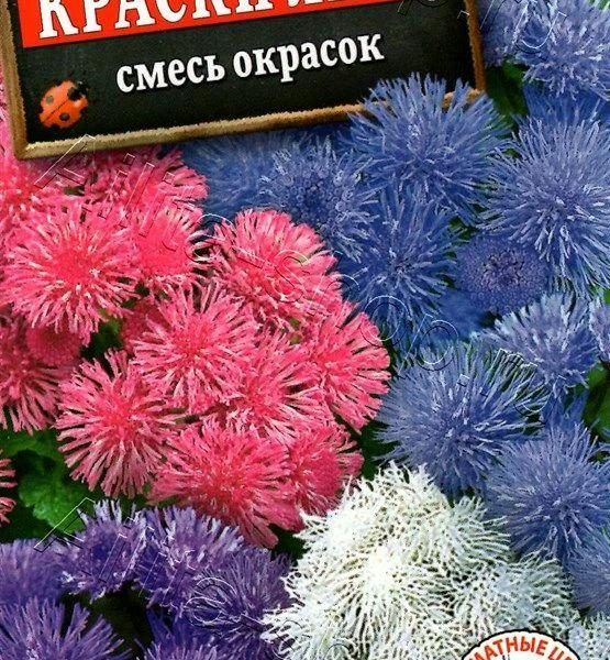 АЭЛИТА АГЕРАТУМ МЕКСИКАНСКИЙ КРАСКИ ЛЕТА, СМЕСЬ СОРТОВ Ц/П 0,1 г