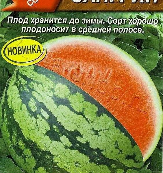 АЭЛИТА АРБУЗ САНГРИЯ Ц/П 1 г