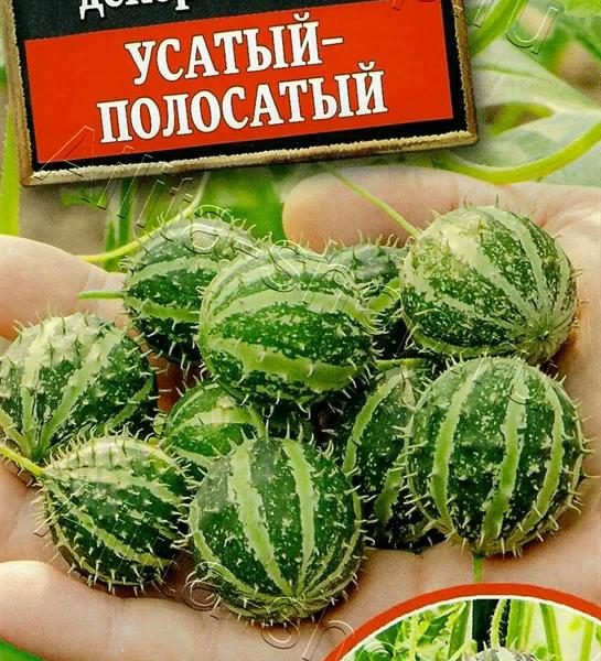 АЭЛИТА КУКУМИС ДЕКОРАТИВНЫЙ УСАТЫЙ-ПОЛОСАТЫЙ Ц/П 5 шт