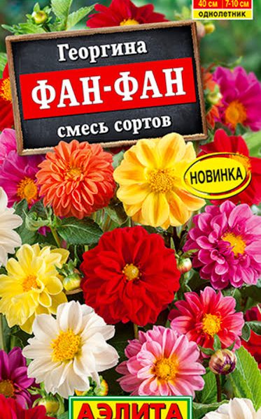 АЭЛИТА ГЕОРГИНА ФАН-ФАН, СМЕСЬ СОРТОВ Ц/П 7 шт