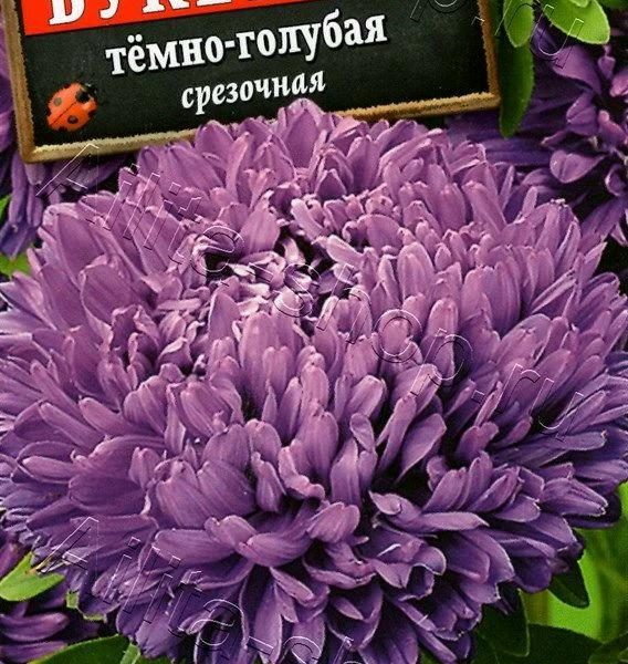 АЭЛИТА АСТРА БУКЕТНАЯ ТЕМНО-ГОЛУБАЯ Ц/П 0,2 г