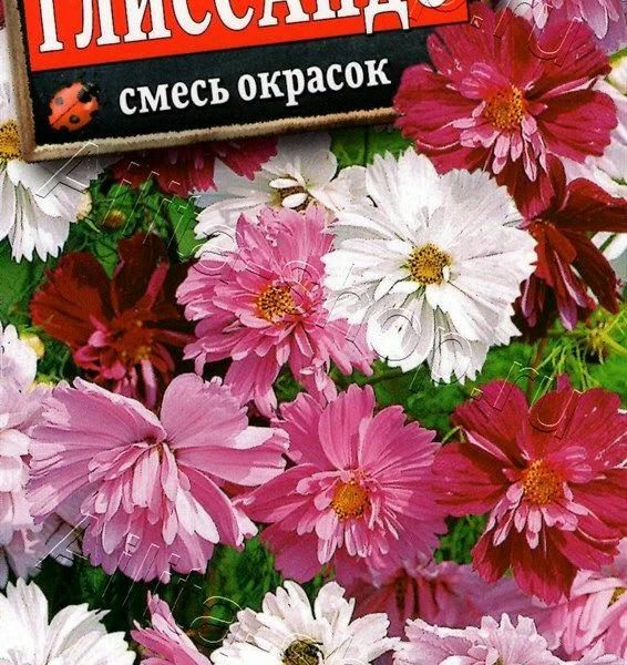 АЭЛИТА КОСМЕЯ ГЛИССАНДО, СМЕСЬ СОРТОВ Ц/П 0,3 г
