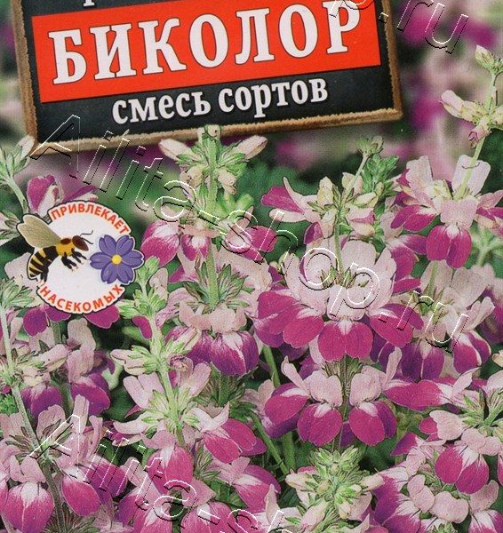 АЭЛИТА КОЛЛИНЗИЯ БИКОЛОР, СМЕСЬ СОРТОВ Ц/П 0,1 г