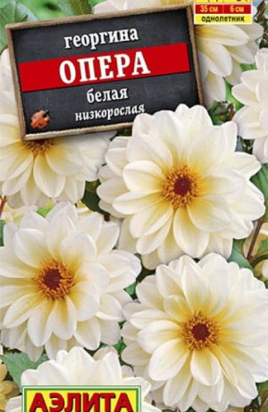 АЭЛИТА ГЕОРГИНА ОПЕРА БЕЛАЯ Ц/П 7 шт