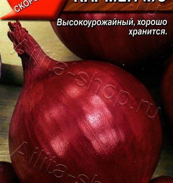 АЭЛИТА ЛУК РЕПЧАТЫЙ КАРМЕН МС Лидер 0,5 г
