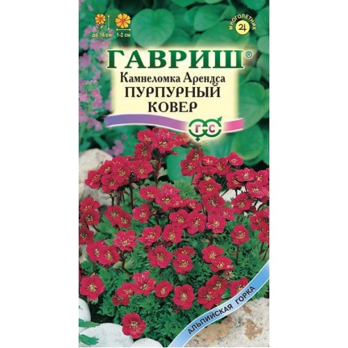ГАВРИШ КАМНЕЛОМКА АРЕНДСА ПУРПУРНЫЙ КОВЕР 0,01ГР