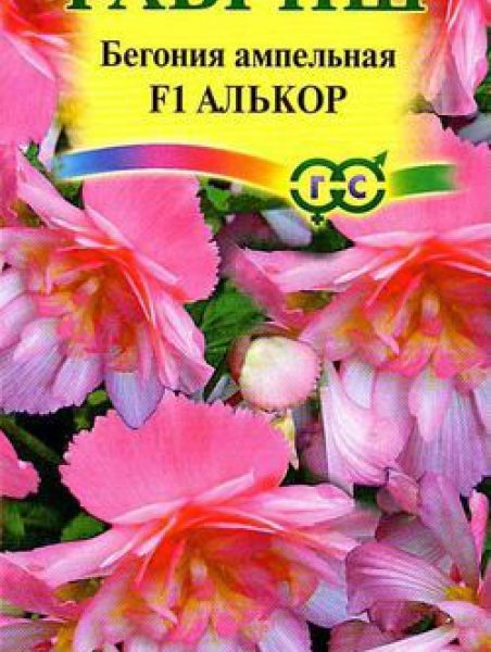 ГАВРИШ БЕГОНИЯ АМПЕЛЬНАЯ АЛЬКОР F1 ГРАН.4ШТ