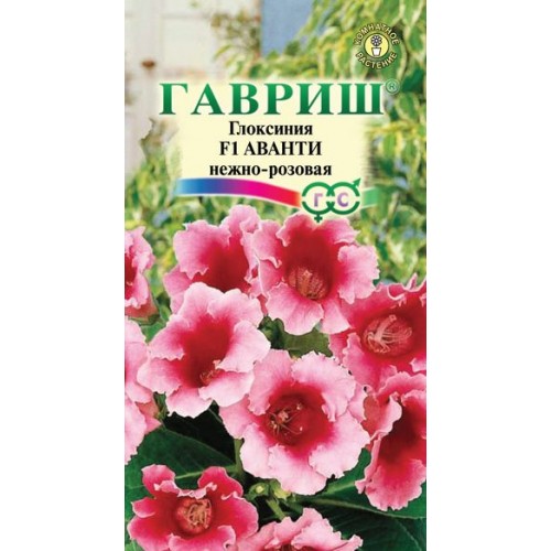 ГАВРИШ ГЛОКСИНИЯ АВАНТИ НЕЖНО-РОЗОВАЯ 5ШТ