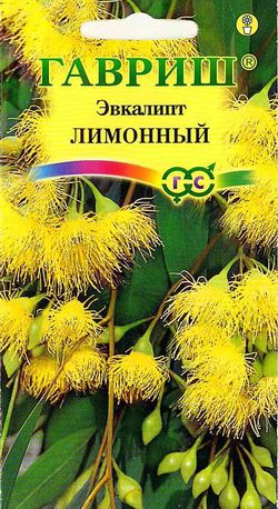 ГАВРИШ КОМН. ЭВКАЛИПТ ЛИМОННЫЙ ФЛАГМАН 0,05Г