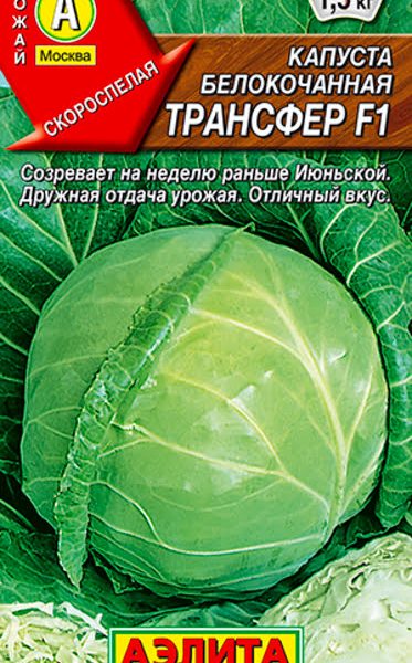АЭЛИТА КАПУСТА Б/К ТРАНСФЕР F1 Ц/П 0,1 г