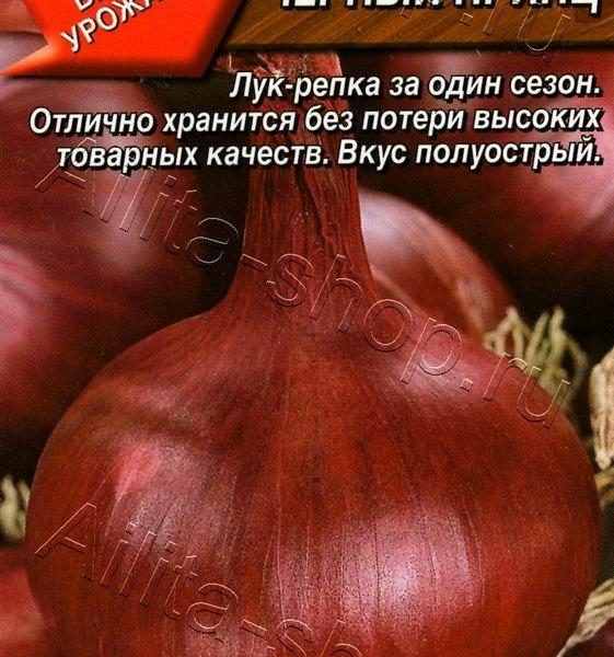 АЭЛИТА ЛУК РЕПЧАТЫЙ ЧЕРНЫЙ ПРИНЦ Ц/П 0,5 г