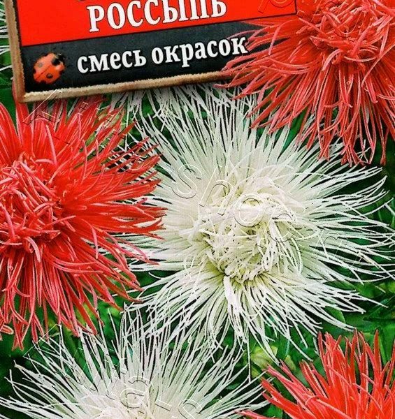 АЭЛИТА АСТРА АЖУРНАЯ РОССЫПЬ, СМЕСЬ СОРТОВ Ц/П 0,2 г