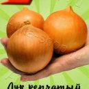 АЭЛИТА ЛУК РЕПЧАТЫЙ ГЛОБУС Ц/П 0,5 г
