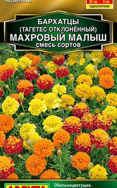АЭЛИТА БАРХАТЦЫ МАХРОВЫЙ МАЛЫШ ОТКЛОНЕННЫЕ, СМЕСЬ СОРТОВ Ц/П 0,1 г