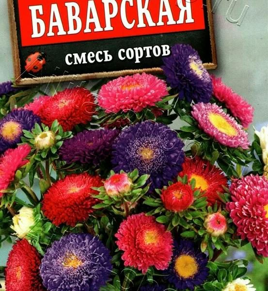 АЭЛИТА АСТРА БАВАРСКАЯ, СМЕСЬ СОРТОВ Ц/П 0,2 г