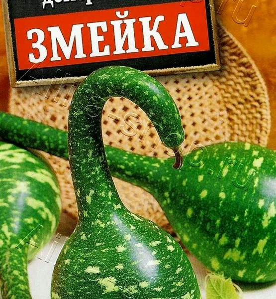 АЭЛИТА ЛАГЕНАРИЯ ДЕКОРАТИВНАЯ ЗМЕЙКА Ц/П 1 г