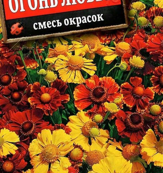 АЭЛИТА ГЕЛЕНИУМ ОГОНЬ ЛЮБВИ, СМЕСЬ СОРТОВ Ц/П 30 шт