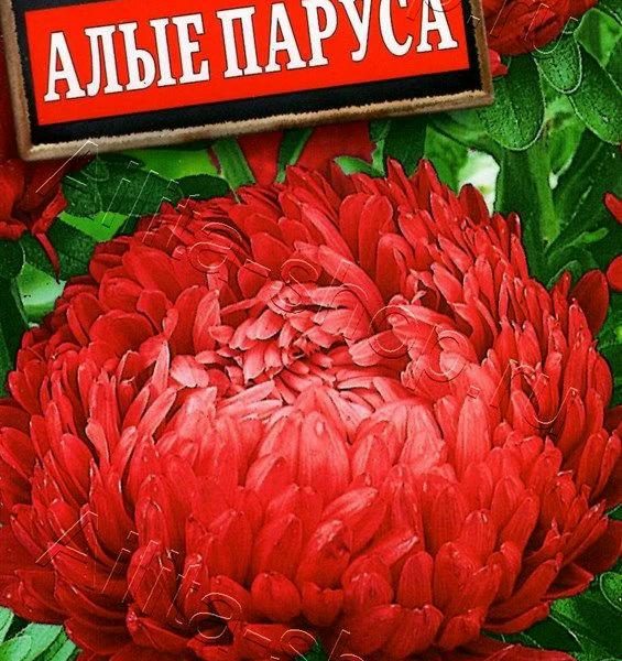АЭЛИТА АСТРА АЛЫЕ ПАРУСА Ц/П 0,2 г
