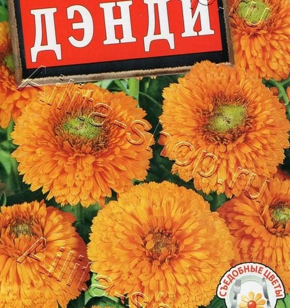 АЭЛИТА КАЛЕНДУЛА ДЭНДИ Ц/П 0,3 г