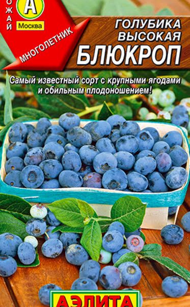 АЭЛИТА ГОЛУБИКА ВЫСОКАЯ БЛЮКРОП Ц/П 0,01 г