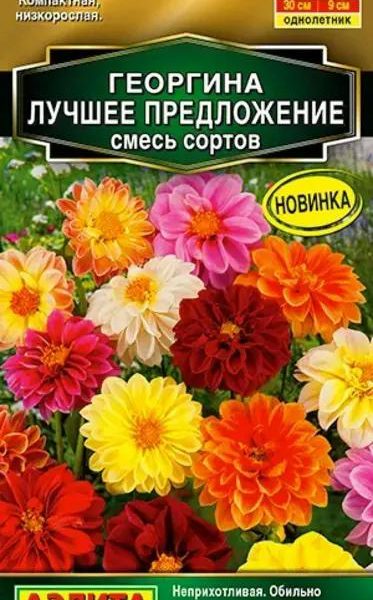 АЭЛИТА ГЕОРГИНА ЛУЧШЕЕ ПРЕДЛОЖЕНИЕ, СМЕСЬ СОРТОВ Ц/П 7 шт
