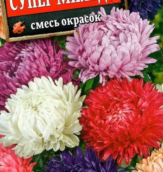 АЭЛИТА АСТРА СУПЕР МИЛЕДИ, СМЕСЬ СОРТОВ Ц/П 0,2 г