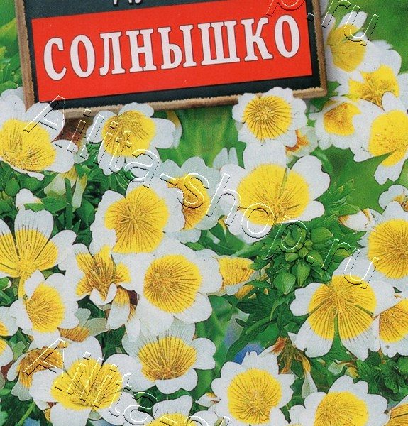 АЭЛИТА ЛИМНАНТЕС ДУГЛАСА СОЛНЫШКО Ц/П 0,1 г