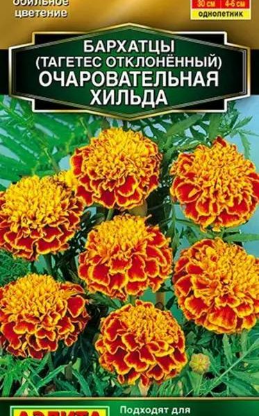 АЭЛИТА БАРХАТЦЫ ОЧАРОВАТЕЛЬНАЯ ХИЛЬДА ОТКЛОНЕННЫЕ Ц/П 0,3 г