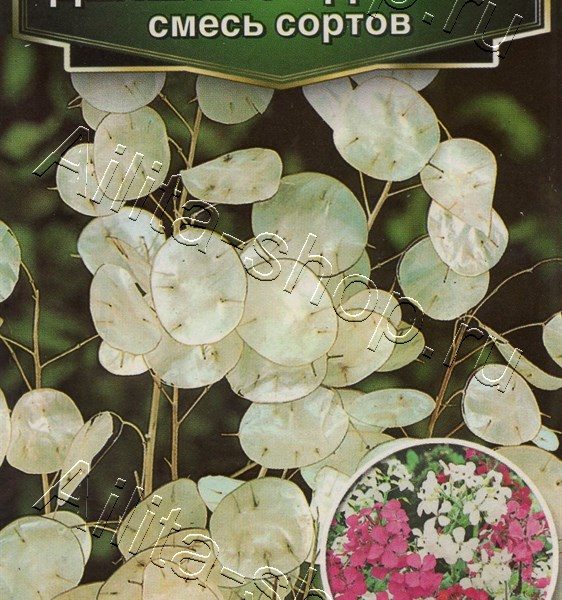АЭЛИТА ЛУНАРИЯ ДЕНЕЖНОЕ ДЕРЕВО, СМЕСЬ СОРТОВ Ц/П 0,3 г