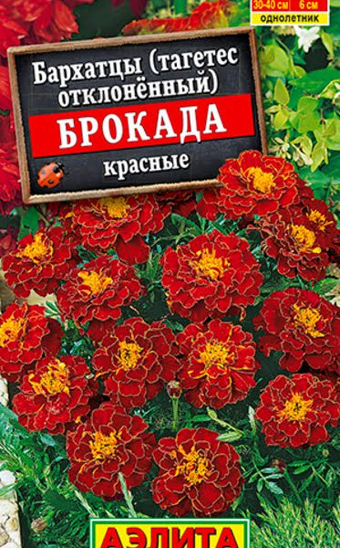 АЭЛИТА БАРХАТЦЫ БРОКАДА КРАСНЫЕ ОТКЛОНЕННЫЕ Ц/П 0,3 г