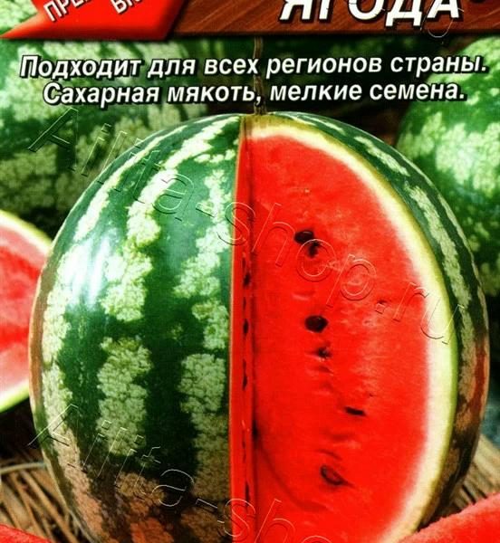АЭЛИТА АРБУЗ СЛАДКИЙ БРИЛЛИАНТ Ц/П 1 г