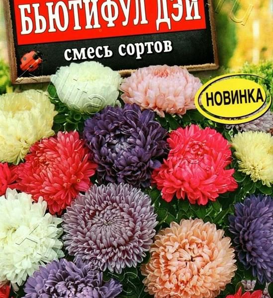 АЭЛИТА АСТРА БЬЮТИФУЛ ДЭЙ, СМЕСЬ СОРТОВ Ц/П 25 шт