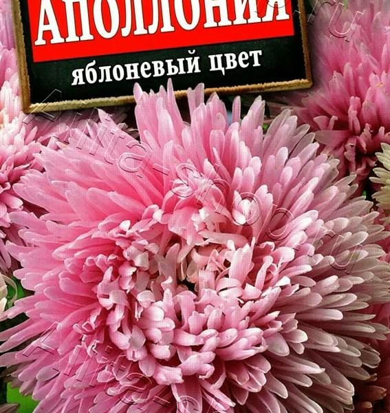 АЭЛИТА АСТРА АПОЛЛОНИЯ ЯБЛОНЕВЫЙ ЦВЕТ Ц/П 0,2 г