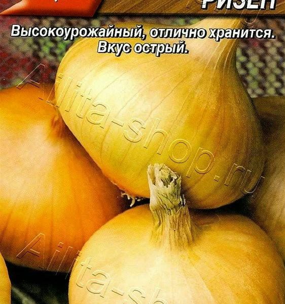 АЭЛИТА ЛУК РЕПЧАТЫЙ ШТУТТГАРТЕР РИЗЕН Лидер 1 г