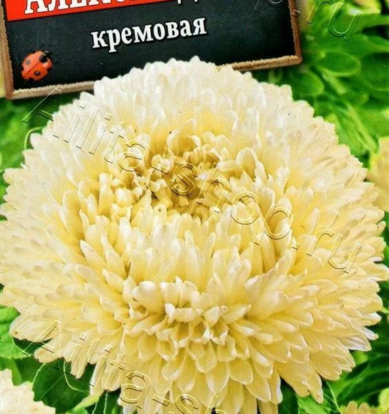 АЭЛИТА АСТРА АЛЕКСАНДРИЯ КРЕМОВАЯ Ц/П 0,1 г